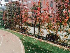 iphone_upload_pic-中央音乐学院附属中等音乐学校