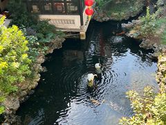 -北园酒家(小北路店)