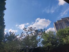 -重庆巴渝火锅(钟家村店)