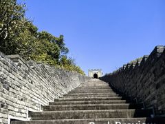 -黄贤森林公园