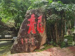 -分塔山省级森林公园