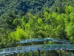 -龙井峡漂流
