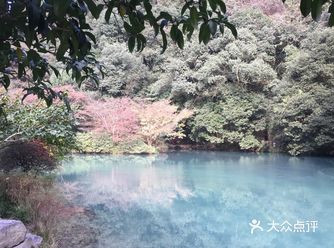 杭州暴走路线攻略|九溪烟树——九溪十八涧——龙井村