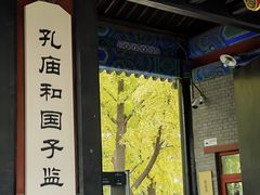 -北京国子监胡同