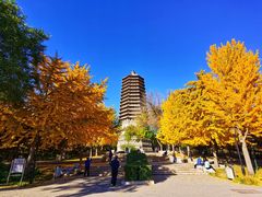 -玲珑塔公园