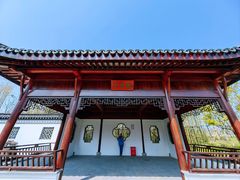 -上海滨江森林公园