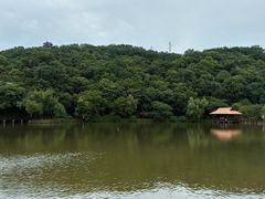 -采石矶景区