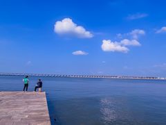 -宝安西湾红树林湿地公园