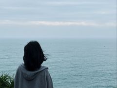 -广东惠东海龟国家级自然保护区