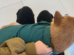 -怪兽屋·羊驼·猫咖·狗咖(俊华广场店)