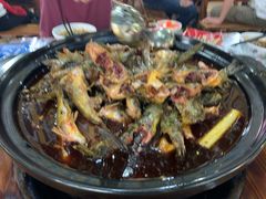 -金海椒罐罐鲢鱼(东方桂苑店)