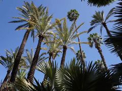 -马洛雷勒花园