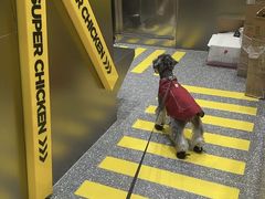 -超级鸡车(曹杨路店)