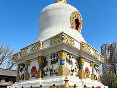 -护国法轮寺