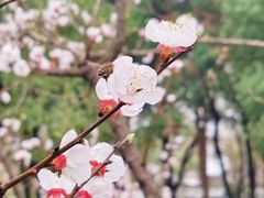 -虎丘山风景名胜区