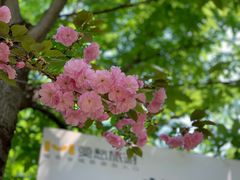 -幕燕滨江·长江观音景区