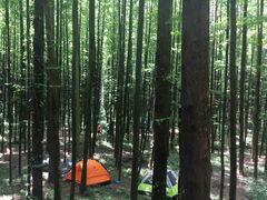 -山王坪喀斯特国家生态公园