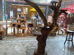 -more than meow吴止猫主题餐厅(承德 中船汇店)