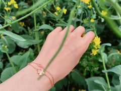 -光明小镇欢乐田园