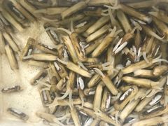 -霞涌市场海鲜摆卖区