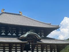 -奈良公园