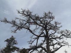 -华山风景名胜区