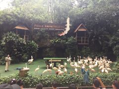 -新加坡飞禽公园