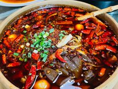 -青城甲(青城山店)