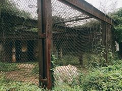 -合肥野生动物园
