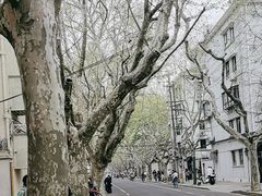 -老吉士酒家(天平路店)