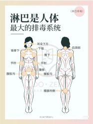 点击看大图 -玛莲朵·海菲秀冰珀科