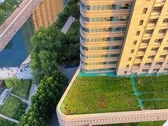 -郑州大学第一附属医院(河医院区)