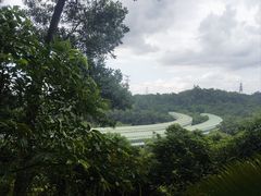 -深圳仙湖植物园