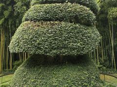 -苏州河梦清园环保主题公园