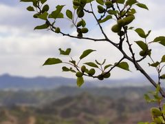 -蟠龙山长城景区