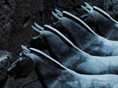 -秦始皇帝陵博物院(兵马俑)