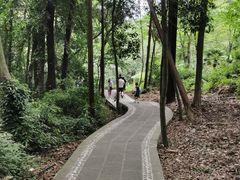 -凤栖山