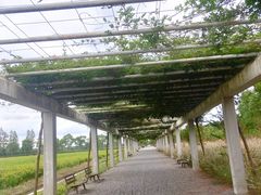 -嘉北郊野公园