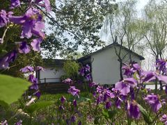 -溱湖国家湿地公园