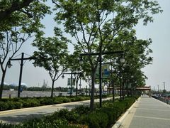 -迪士尼乐园停车场