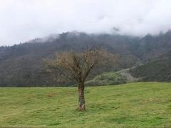 -硗碛藏寨·神木垒景区