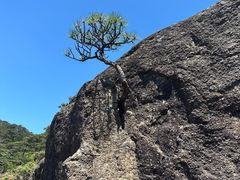 -黄山翡翠谷景区