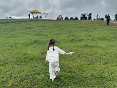 -御道口草原森林风景区