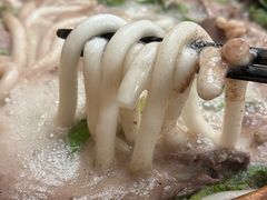-玛禄藏膳(五分店)