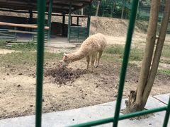 -田野绿世界