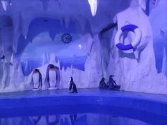 -多彩贵州城极地海洋世界