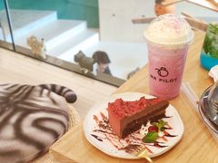 -飞行喵MR PILOT|猫舍·猫咖(静安大融城店)