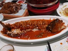 -新侨小馆(东直门北小街店)