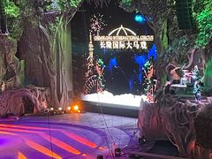 -广州长隆国际大马戏