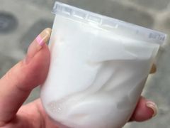 -洪馨椰子